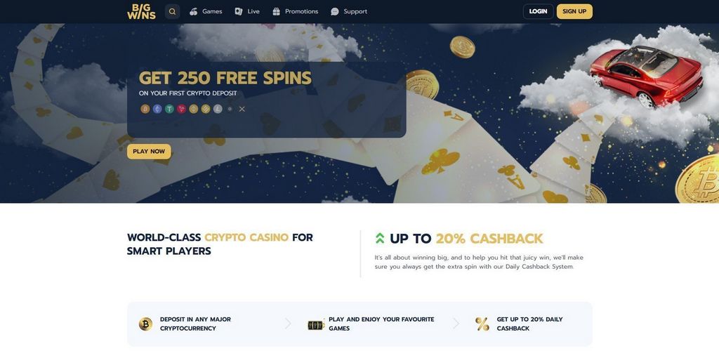 Big Wins Casino site on mobile